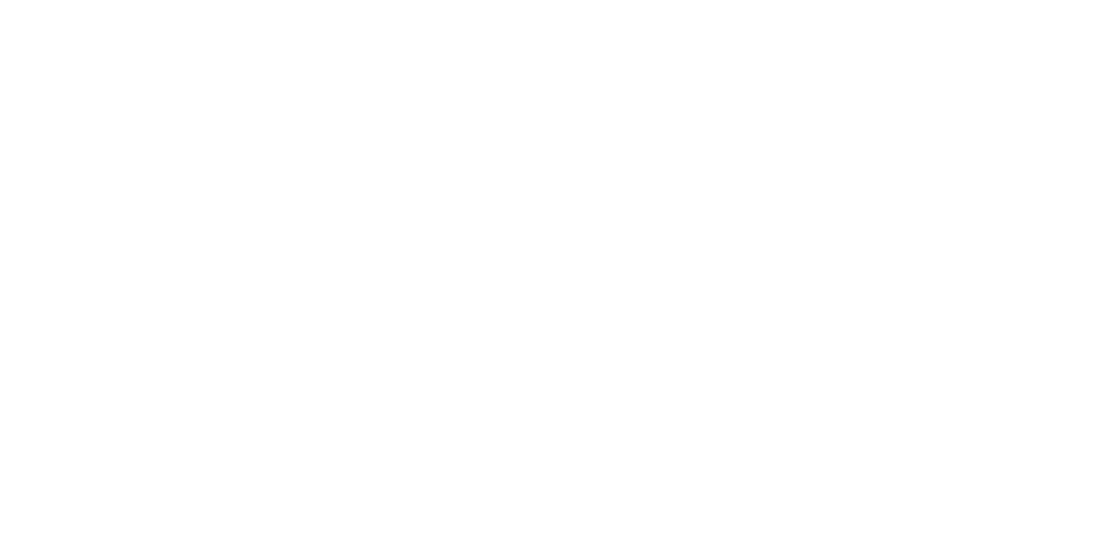Götter in Weiß – Das Team von Malermeister Zille Rostock